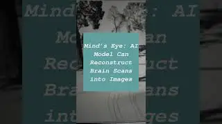 Mind’s Eye: AI Model Can Reconstruct Brain Scans into Images