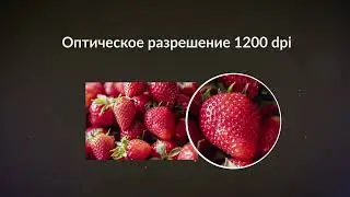 OpticSlim OS1680 для широкоформатного сканирования