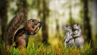 Hilarious Animal Antics!!   😁 😄
