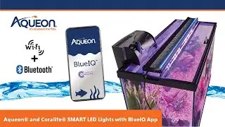 Aqueon BlueIQ App