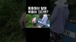 시어머님이 뚱뚱해서 밭에 못들어 간다면?
