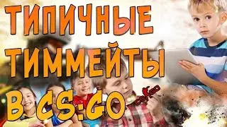 ТИПИЧНЫЕ ТИММЕЙТЫ В CS:GO-Нарезка