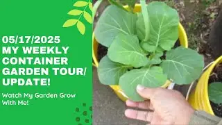 My Container Garden Tour/Update 05/17/2025