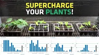 Boost Your Seed Start Nutrition: Expert Tips and Strategies