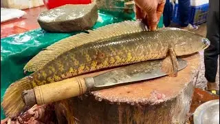 Perfect Sola Fish Cutting Live In Bangladesh Market |  Quick & Easy Sole Fish Cuts Tutorial For Cook