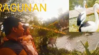 serunya lihat burung flaminggo
