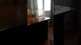 REAL PSYCHOKINESIS念动力念力 психокинез psicoquinesis정신 운동 psicocinesi ψυχοκίνηση念力的祕密 叫喚自己的內在力量 טלקינזיס