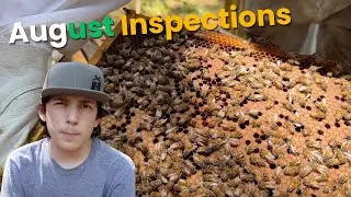 August Inspections!! What Is going On In The Apiary??