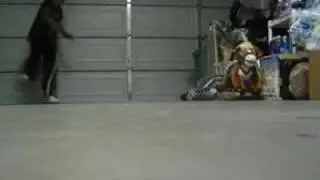 Wanna BE spin Like A BALLERINA