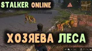 Эй НУБЯРА С КСУХОЙ ТЕБЕ НА ВЕЗУВИЙ К ХРАНИТЕЛЯМ ЛЕСА - Сталкер Онлайн \ Stay Out