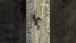 сняли каску с раненого и ушли кацапики
