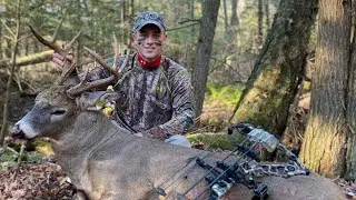 Big Woods Pennsylvania Whitetail