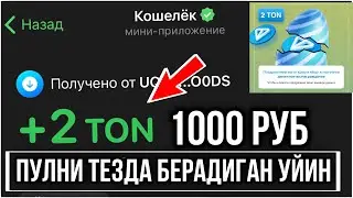 ЯЙЦОГРАМ | ЛИСТИНГ КУТМАСДАН ПУЛНИ ТЕЗДА ЧИКАРИБ ОЛАДИГАН УЙИН ✅