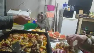 Жорик-Новый 2019 год !
