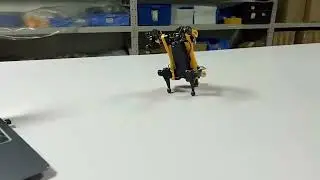Maybe Bittle is a talented breaking dancer. Wanna code your pet like this?