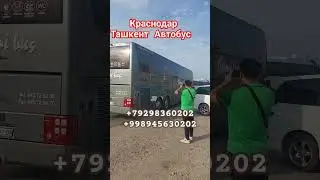 Краснодар Ташкент Автобус #автобус #тошкент #ростов #тикток ##краснодар #анапа #новороссийск #крим