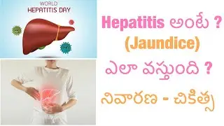 Hepatitis in Telugu/causes,treatment,prevention/what is Hepatitis,types of hepatitis