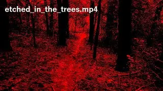 12_3_19.mp4