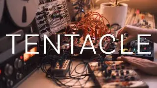 Tentacle - Ambient (Digitakt, Digitone, Deerhorn, Habit, Tape)