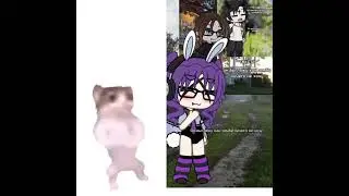 цепочка #кот #мем