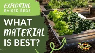 Best Materials for Raised Garden Beds