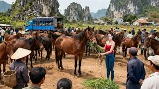 668 Days Harvesting A Lot of Horses, Mulberries, Dragon Fruit, Silkworms to Sell