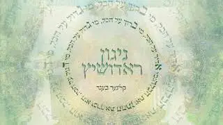 ניגון ראדושיץ - מאיר קליינר