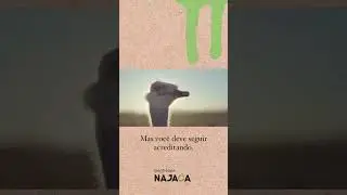 Conselho de avestruz: Faça o que você não pode!