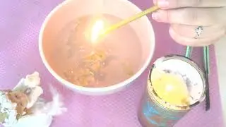 СНИМАЕМ ОПОИ🥂☕И ОКОРМЫ🍝🥘