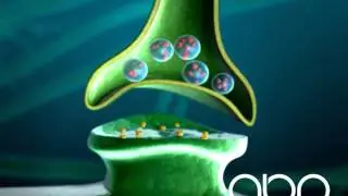 Synapse
