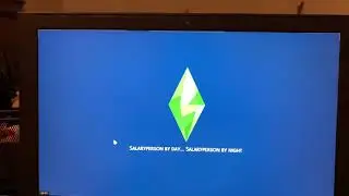 Sims 4 takes forever to load