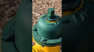 Pan on Pixel 8 Pro is smooth like butter 
