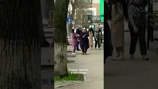 Кони Краснодар Развод туристов