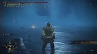 ELDEN RING DLC - Metyr, Mother of Fingers (ng+7)