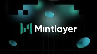 Website overview of Mintlayer