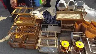 Tashkent bird market: Cages 3.10.20 Tashkent bird market