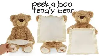 Peek a Boo Bear - The ULTIMATE Teddy!