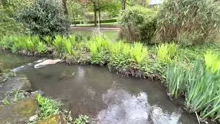 Walsall ArboretumВолсолський дендрарій Англія