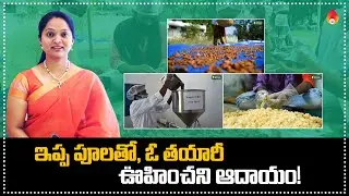 ఇప్పపూలతో గ్రామాల్లో స్వయం ఉపాధి, మంచి ఆదాయం | how to earn lakhs with mahua flowers in telugu.