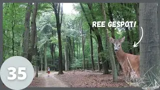 AARDSCHOTEN II KROONDOMEIN II - wandelvlog 35