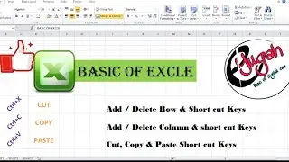 Basic Excel insert Delete Row & Column, Shortcut keys Cut, Copy & Paste
