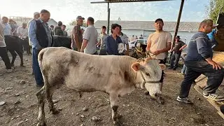 САВДО ДАР БОЗОРИ ШАХРИНАВ МОЛ БЕХАД БИСИЕРТАР ДРОМАДАН 22 июня 2023 г.