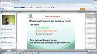 Гомотоксикология. Иммуномодуляция. Сушков А.Л.
