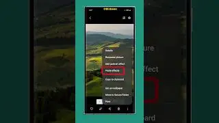 Copy & Paste Photo edits | Samsung Gallery feature