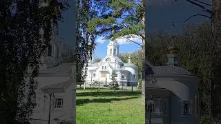 #россия #shortsvideo #наукоград#кольцово #новосибирск #природа