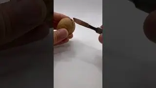 Жители ореха 