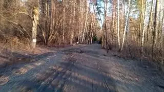 лесопарк лесоводов
