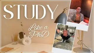 How I studied during my PhD (you can do it too!)