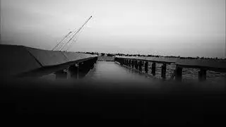 Monochromatic elements
