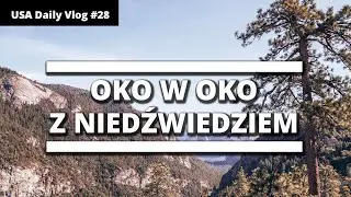 Yosemite National Park || Work and Travel USA Trip #28